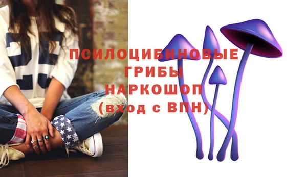 спиды Алексин