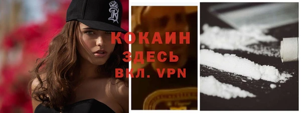 твердый Алексеевка