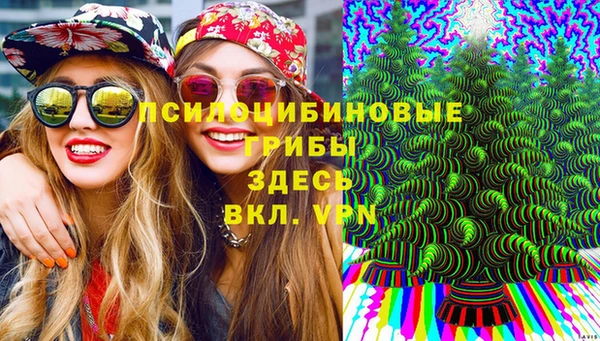 твердый Алексеевка