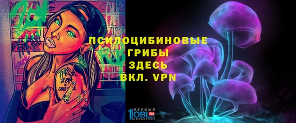 спиды Алексин