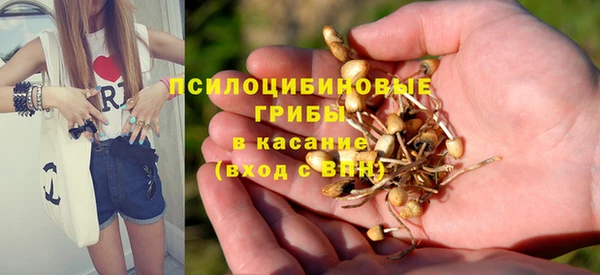 спиды Алексин