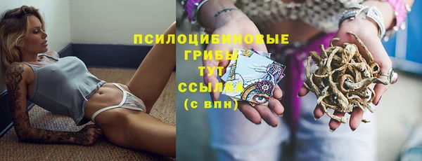 круглые Алзамай